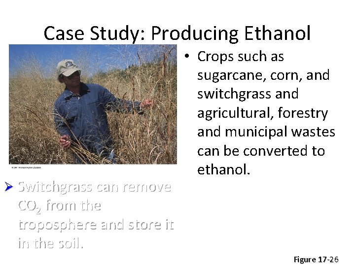 Case Study: Producing Ethanol Ø Switchgrass can remove • Crops such as sugarcane, corn,