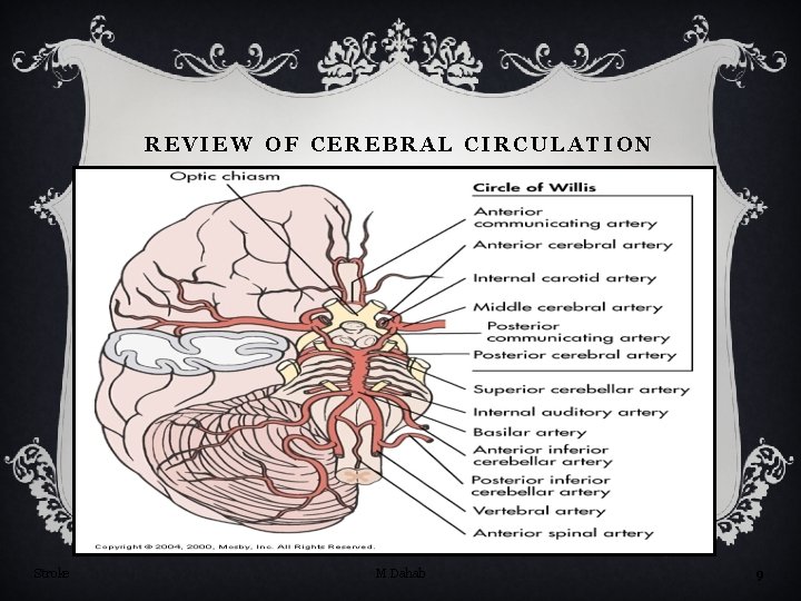 REVIEW OF CEREBRAL CIRCULATION Stroke M Dahab 9 