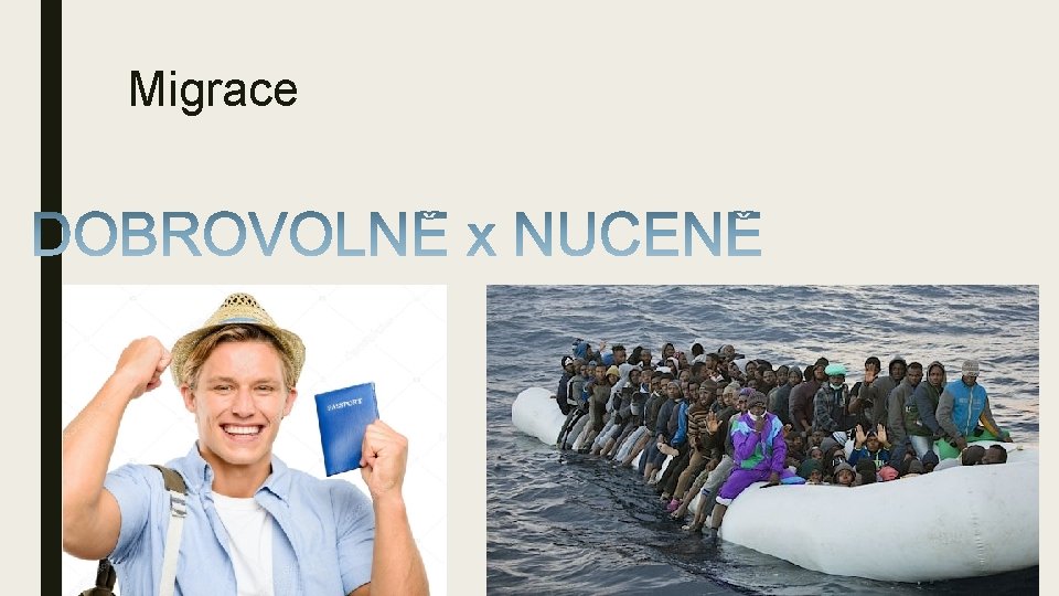 Migrace 