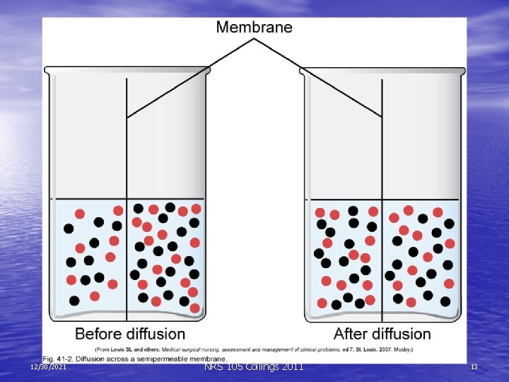 NRS 105. 320 W 2009 12/30/2021 NRS 105 Collings 2011 13 