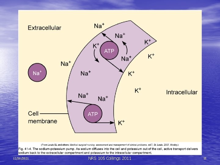 12/30/2021 NRS 105 Collings 2011 15 