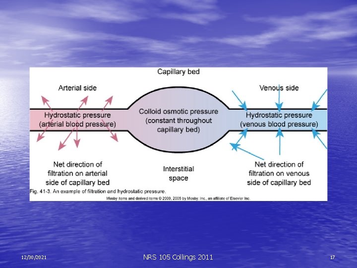 12/30/2021 NRS 105 Collings 2011 17 