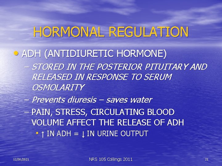 HORMONAL REGULATION • ADH (ANTIDIURETIC HORMONE) – STORED IN THE POSTERIOR PITUITARY AND RELEASED