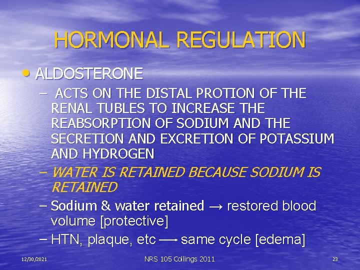 HORMONAL REGULATION • ALDOSTERONE – ACTS ON THE DISTAL PROTION OF THE RENAL TUBLES