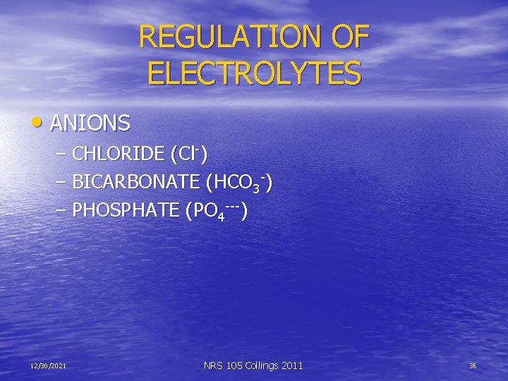 REGULATION OF ELECTROLYTES • ANIONS – CHLORIDE (Cl-) – BICARBONATE (HCO 3 -) –