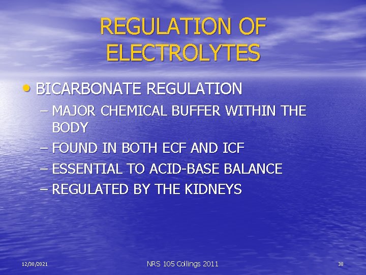REGULATION OF ELECTROLYTES • BICARBONATE REGULATION – MAJOR CHEMICAL BUFFER WITHIN THE BODY –