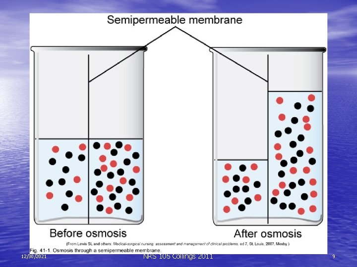 12/30/2021 NRS 105 Collings 2011 9 
