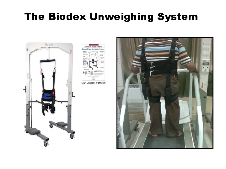 The Biodex Unweighing System: 