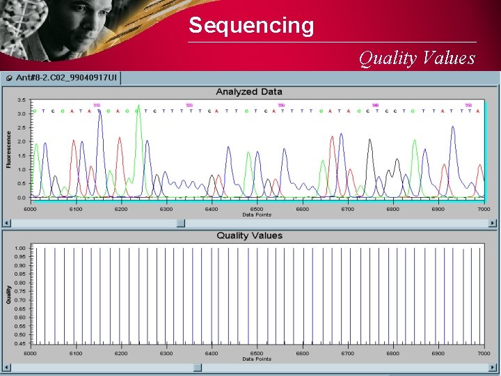 Sequencing Quality Values 