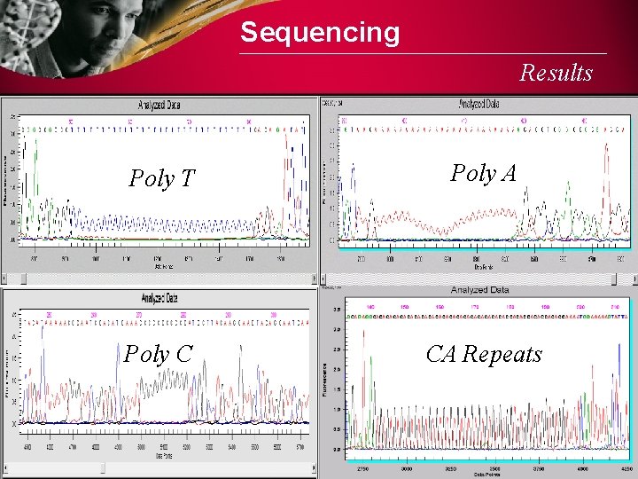 Sequencing Results Poly T Poly A Poly C CA Repeats 