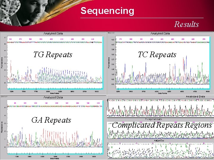 Sequencing Results TG Repeats GA Repeats TC Repeats Complicated Repeats Regions 