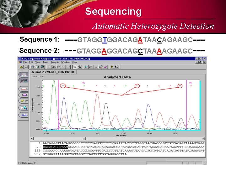 Sequencing Automatic Heterozygote Detection Sequence 1: ===GTAGGTGGACAGATAACAGAAGC=== Sequence 2: ===GTAGGAGGACAGCTAAAAGAAGC=== 