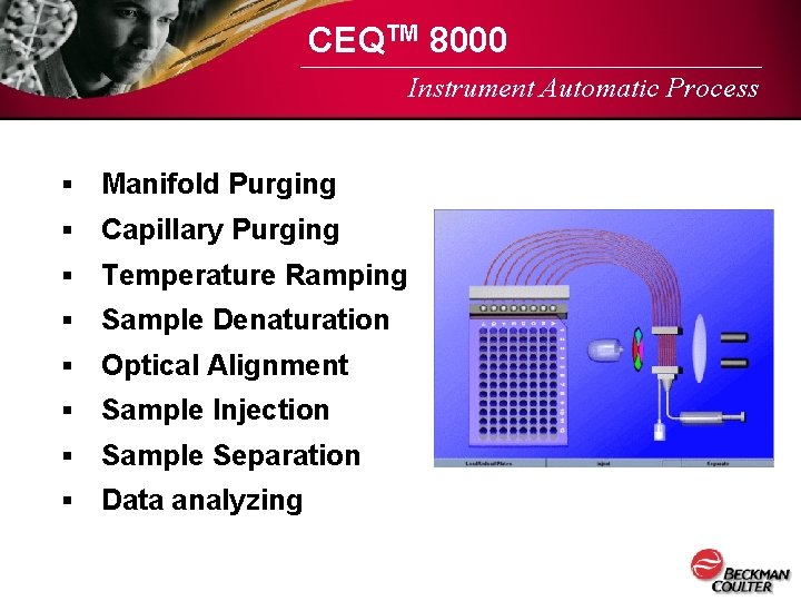 CEQTM 8000 Instrument Automatic Process § Manifold Purging § Capillary Purging § Temperature Ramping