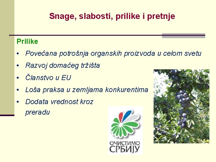 Snage, slabosti, prilike i pretnje Prilike • Povećana potrošnja organskih proizvoda u celom svetu