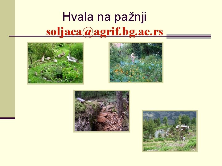 Hvala na pažnji soljaca@agrif. bg. ac. rs 