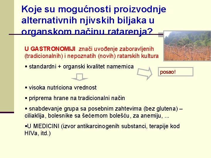 Koje su mogućnosti proizvodnje alternativnih njivskih biljaka u organskom načinu ratarenja? U GASTRONOMIJI znači