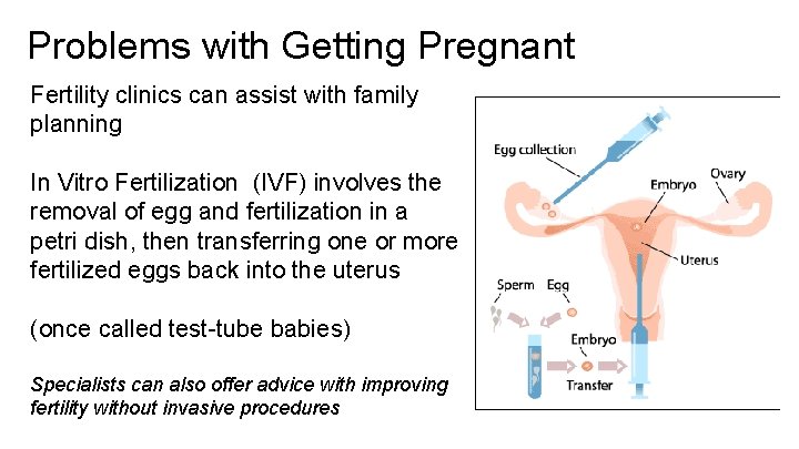 Problems with Getting Pregnant Fertility clinics can assist with family planning In Vitro Fertilization