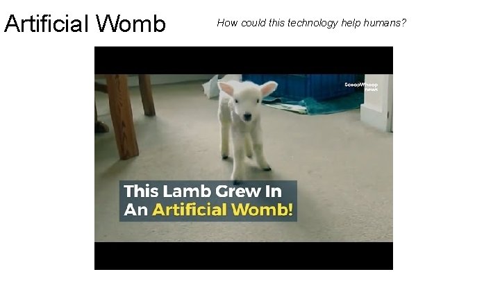 Artificial Womb How could this technology help humans? 