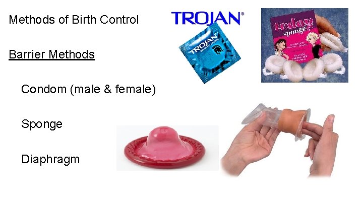 Methods of Birth Control Barrier Methods Condom (male & female) Sponge Diaphragm 