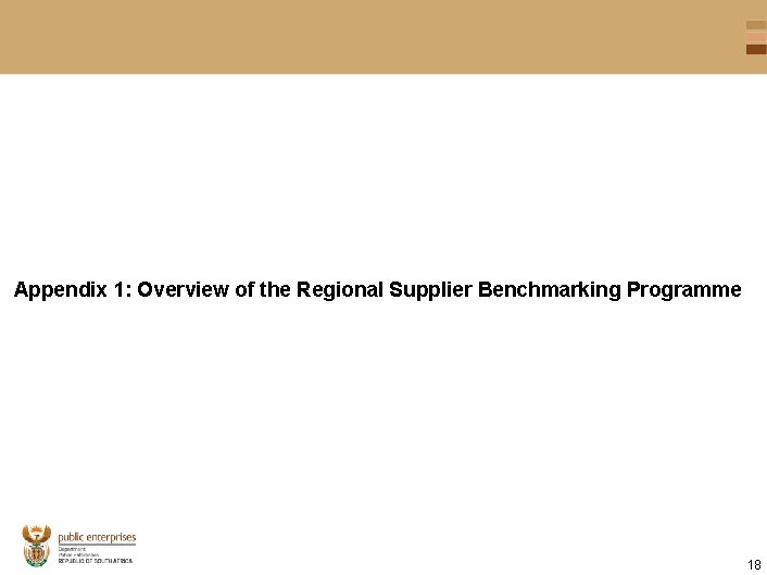 Appendix 1: Overview of the Regional Supplier Benchmarking Programme 18 