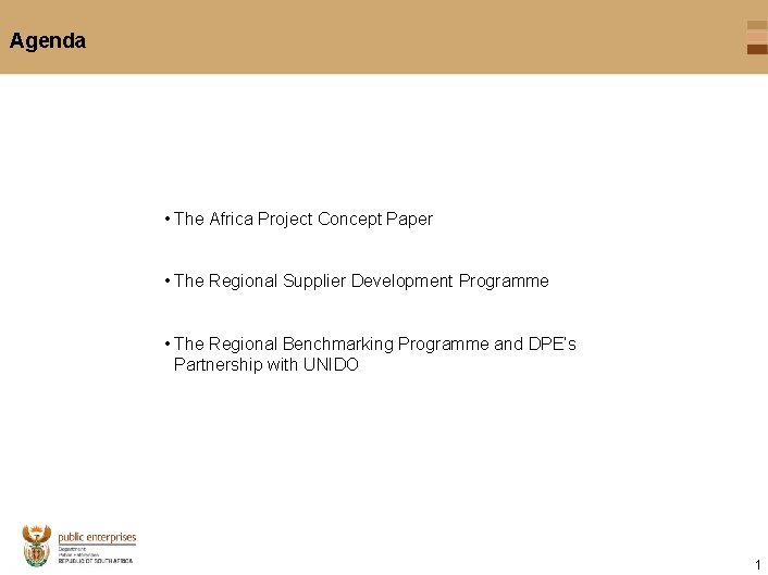 Agenda • The Africa Project Concept Paper • The Regional Supplier Development Programme •