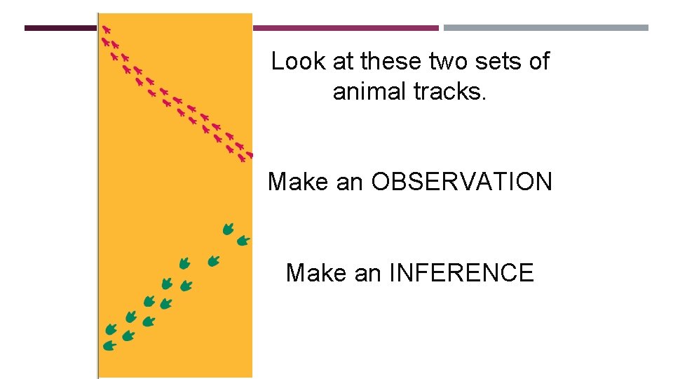 Look at these two sets of animal tracks. Make an OBSERVATION Make an INFERENCE