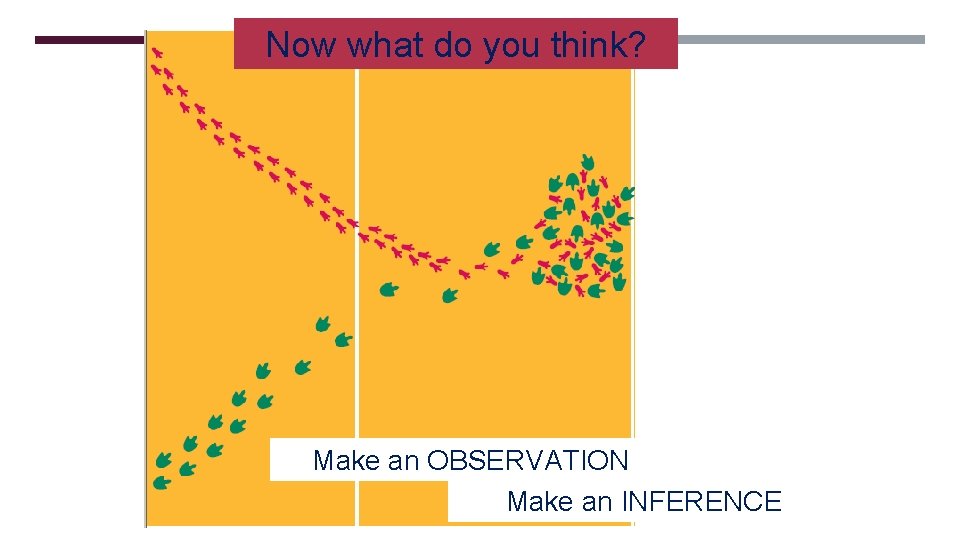 Now what do you think? Make an OBSERVATION Make an INFERENCE 