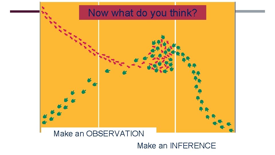 Now what do you think? Make an OBSERVATION Make an INFERENCE 