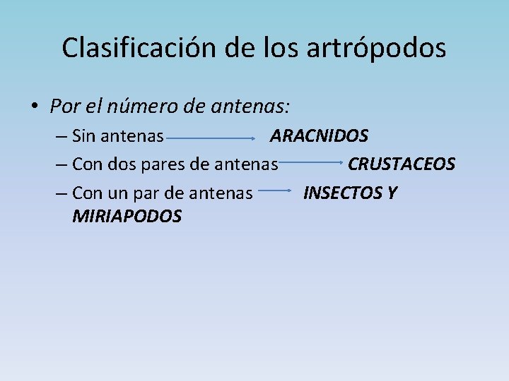 Clasificación de los artrópodos • Por el número de antenas: – Sin antenas ARACNIDOS