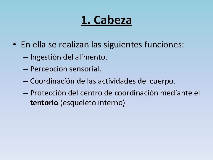 1. Cabeza • En ella se realizan las siguientes funciones: – Ingestión del alimento.