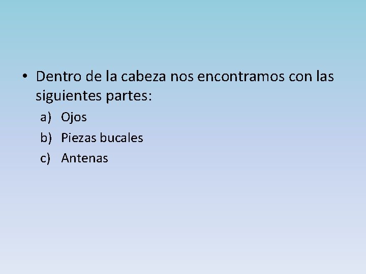  • Dentro de la cabeza nos encontramos con las siguientes partes: a) Ojos