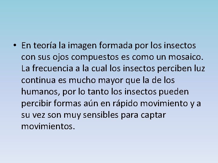  • En teoría la imagen formada por los insectos con sus ojos compuestos