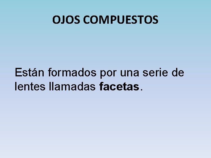 OJOS COMPUESTOS Están formados por una serie de lentes llamadas facetas. 
