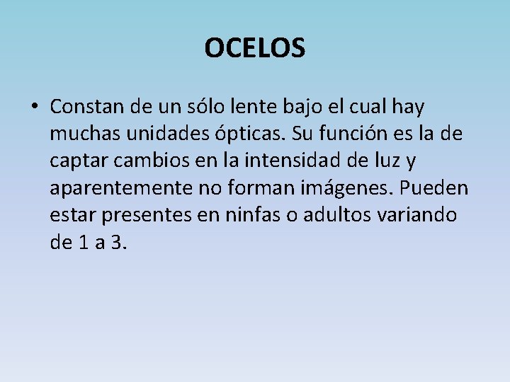 OCELOS • Constan de un sólo lente bajo el cual hay muchas unidades ópticas.