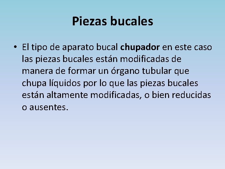 Piezas bucales • El tipo de aparato bucal chupador en este caso las piezas