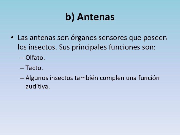 b) Antenas • Las antenas son órganos sensores que poseen los insectos. Sus principales