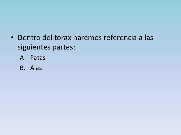  • Dentro del torax haremos referencia a las siguientes partes: A. Patas B.