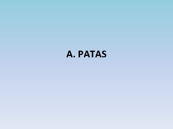 A. PATAS 