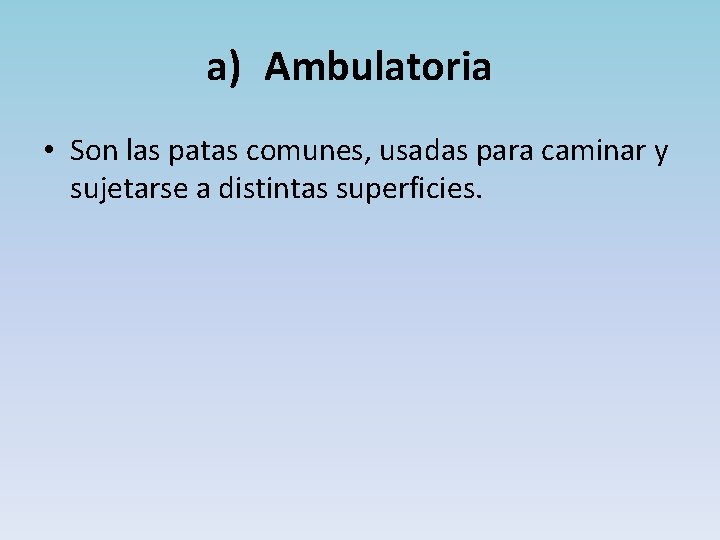 a) Ambulatoria • Son las patas comunes, usadas para caminar y sujetarse a distintas