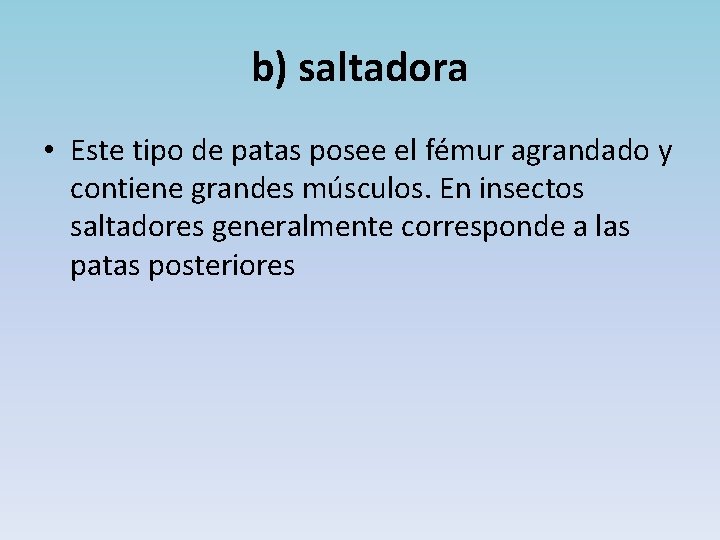 b) saltadora • Este tipo de patas posee el fémur agrandado y contiene grandes