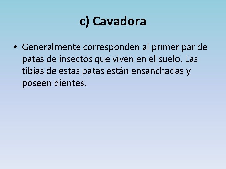 c) Cavadora • Generalmente corresponden al primer par de patas de insectos que viven