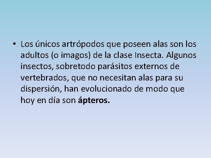  • Los únicos artrópodos que poseen alas son los adultos (o imagos) de
