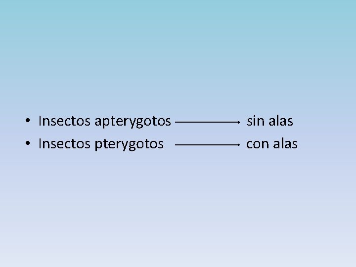  • Insectos apterygotos • Insectos pterygotos sin alas con alas 