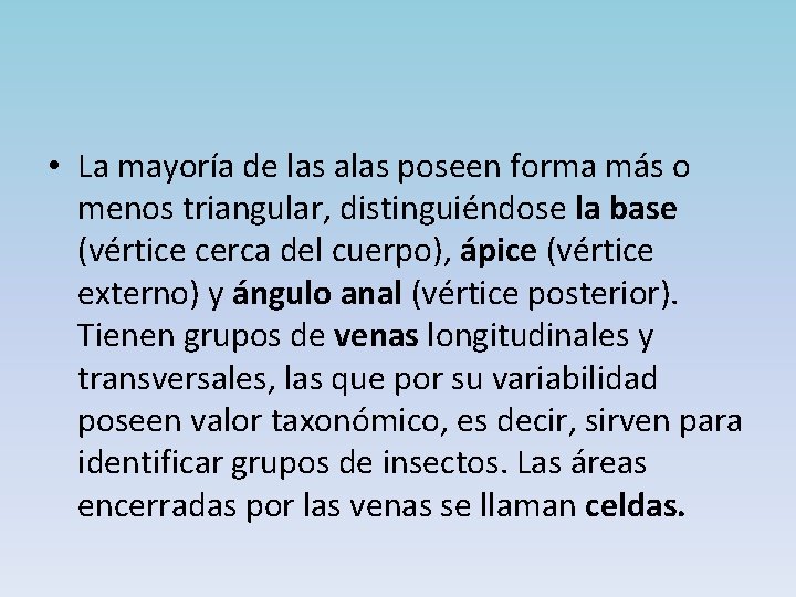  • La mayoría de las alas poseen forma más o menos triangular, distinguiéndose