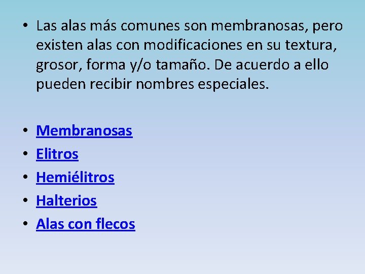  • Las alas más comunes son membranosas, pero existen alas con modificaciones en
