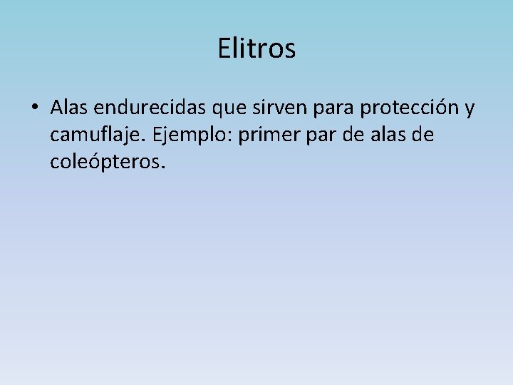 Elitros • Alas endurecidas que sirven para protección y camuflaje. Ejemplo: primer par de