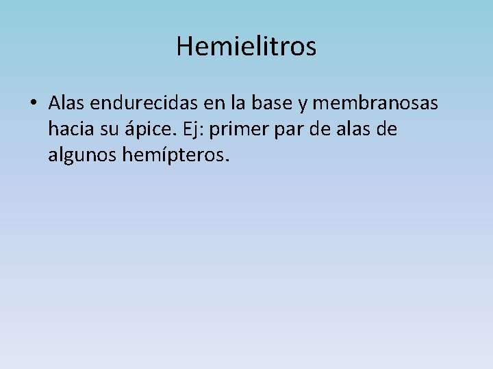 Hemielitros • Alas endurecidas en la base y membranosas hacia su ápice. Ej: primer