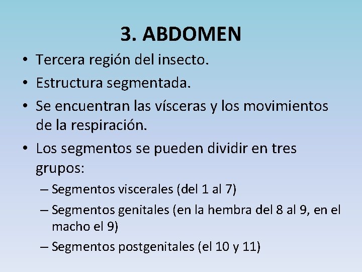 3. ABDOMEN • Tercera región del insecto. • Estructura segmentada. • Se encuentran las