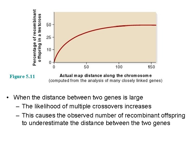 Figure 5. 11 • When the distance between two genes is large – The