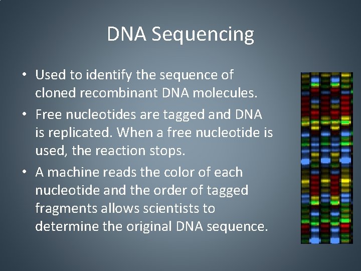 DNA Sequencing • Used to identify the sequence of cloned recombinant DNA molecules. •